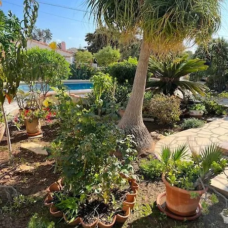 El Oasis *